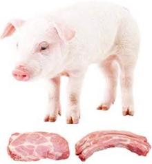 Frozen pork neck (collar) boneless skinless