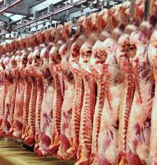 Pork meat from Romania