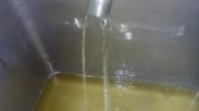Iberian Pork Lard (Bulk)