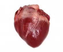 Pork heart