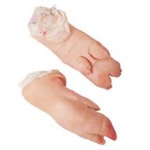 Pork feet