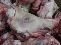 FROZEN PORK HEAD