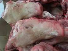 frozen pork whole heads w/o