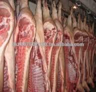  Frozen   Pork  Half Carcase