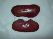 Frozen Pork Kidneys