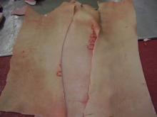  Pork   skin  from back