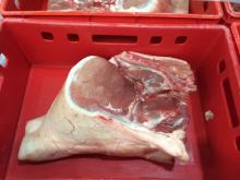 Frozen Pork Leg Bone In