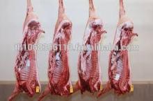 Quality Frozen Pork Carcass and Cuts Ready for Export to Any safe world Port with Health Certificate