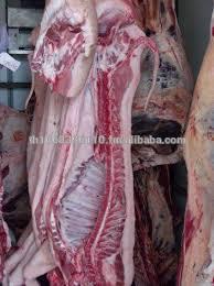Grade A Frozen Pork Carcass