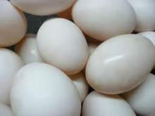 Candian Duck Eggs
