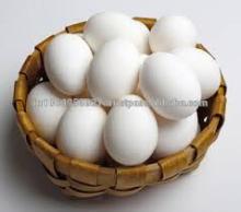 Farm White Eggs