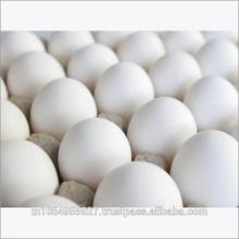 Farm Fresh White table Eggs