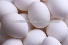 Farm Fresh White Shell Eggs