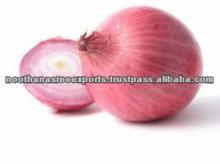 Fresh red Onion