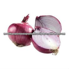 Red Onion Suppliers