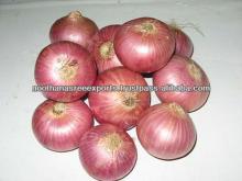 Fresh Red Onion for sale