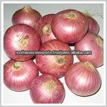 Nasik red onions