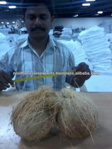 Coconut