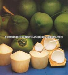  YOUNG   GREEN  COCONUT