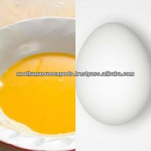 Egg Supplier From INDIA