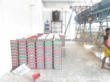 Namakkal Egg Supplier