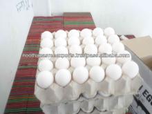 Tamil Nadu  Fresh  Chicken  Egg  For Sale
