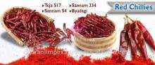 SANNAM/S4  guntur   red   chilli 