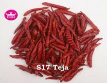 DRY RED CHILLY WHOLE (TEJA)