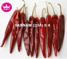 Best Price Sannam  S4   Chilli 