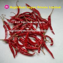 Teja S17 Nueva Red Dry Chilli