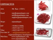 SANNAM/S4 Dry Red Chilli Manufacturer