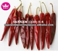 Dry red hot chili pepper without stem