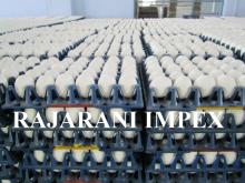Provedor indio de branco casca de ovo