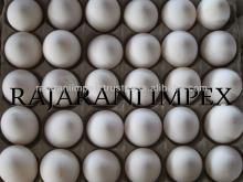 Umhlinzeki Indian of White shell amaqanda