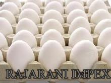 Farm Fresh poultry Indian white shell chicken table eggs