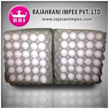 Indian Healthy White Shell Eggs Supply to Afghanistan