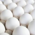 farm fresh table eggs