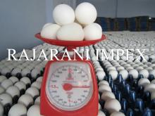 a1 quality chicken white eggs for sale