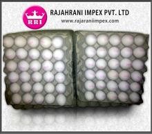 WHITE SHELL EGGS FOR COOKING