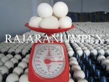 Fresh indian Chicken Eggs