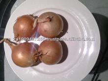 FRESH SOUTH AFRICAN RED ONIONS