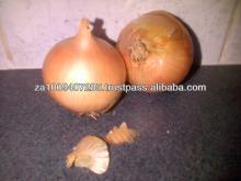 Fresh South African Onions