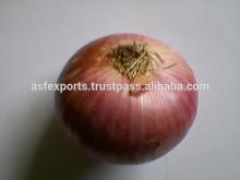 fresh onions