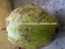 Tropical and sub-tropical fruits
