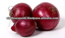 onion