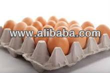 Fresh Shell Eggs