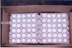 Fresh Eggs