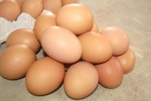 country egg