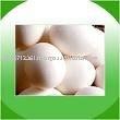 Fresh White shell Egg