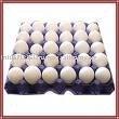 White shell Eggs